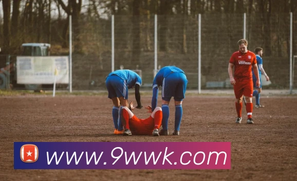 爱游戏app中国官网发展历程